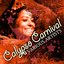 The Calypso Carnival