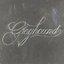 Greyhound