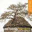 Beethoven: The Late Quartets, Op. 127 - 135