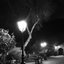 La noche
