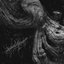 COLD DEATH EARTH