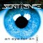 An Eye for an I