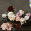 Power Corruption and Lies (Definitive Edition)