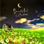 Beautiful Life