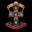 Appetite for Destruction