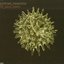 Kill Your Own (CD 1)
