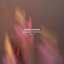 Beyond The Veil EP