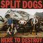 Here To Destroy [Explicit]