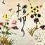 指切り - Single