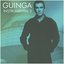 Guinga Instrumental, Vol. 2
