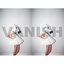 Vanish