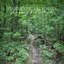 Journey to Restoule