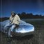 Platinum Fubu