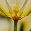 Mirage / In Circles