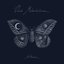 Antheraea
