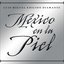 Mexico En La Piel
