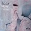 Scion A/V Presents: Daedelus - Looking Ocean