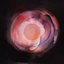 Womb