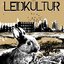 Leidkultur