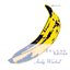 The Velvet Underground & Nico (Stereo Version)