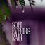 Soft Evening Rain