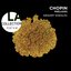 Prelude No 4 in E Minor, Op. 28: Largo