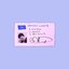 drivers license
