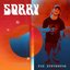 Sorry - Single
