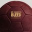 WE CAME TO BLEED