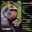 Humanimal Remastered CD2