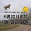 Heut' fliegt die Kuh