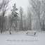 An Undying Winter