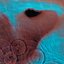 Meddle