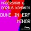 Dune In Erf Minor