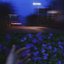 Lose You - Single