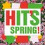 Hit's Spring! 2019 [Explicit]