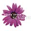 Sevdim (Remixes)