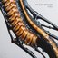 MUTAMORPHOSIS, Vol.1