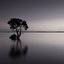 Smooth Waters