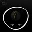 Headwinds LP