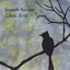Little Bird