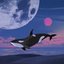 Orca