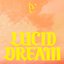 LUCID DREAM (Shin Sakiura Remix)