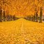 Autumn 2018 Mixtape