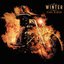 Fire Rider