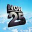 Now That's What I Call Music! 25