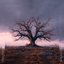 Nature Dying