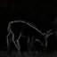 Hunting Season - EP
