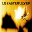 Easter Lily