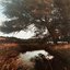 Hundred Acres